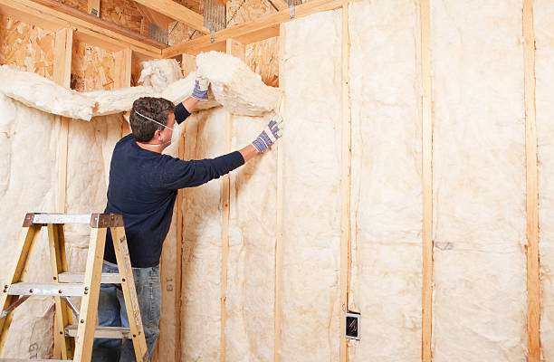 Best Radiant Barrier Insulation  in Worth, IL