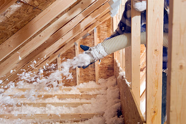 Best Batt and Roll Insulation  in Worth, IL